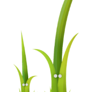TWIG (Craft CMS)